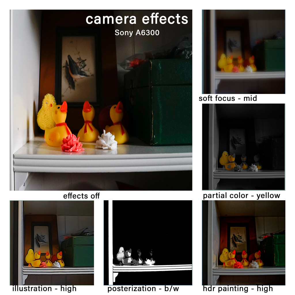 Camera Effects Collage by randystreat