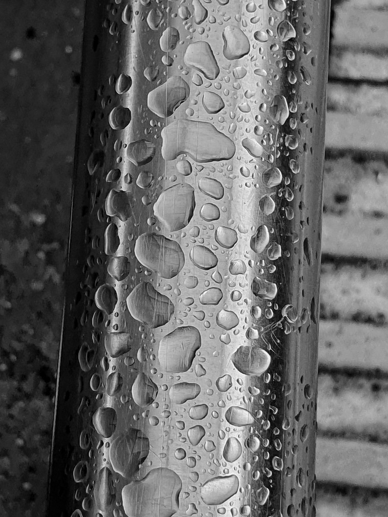 Raindrops by isaacsnek