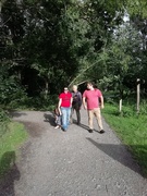 26th Aug 2020 - A walk in Denham Country Park. 