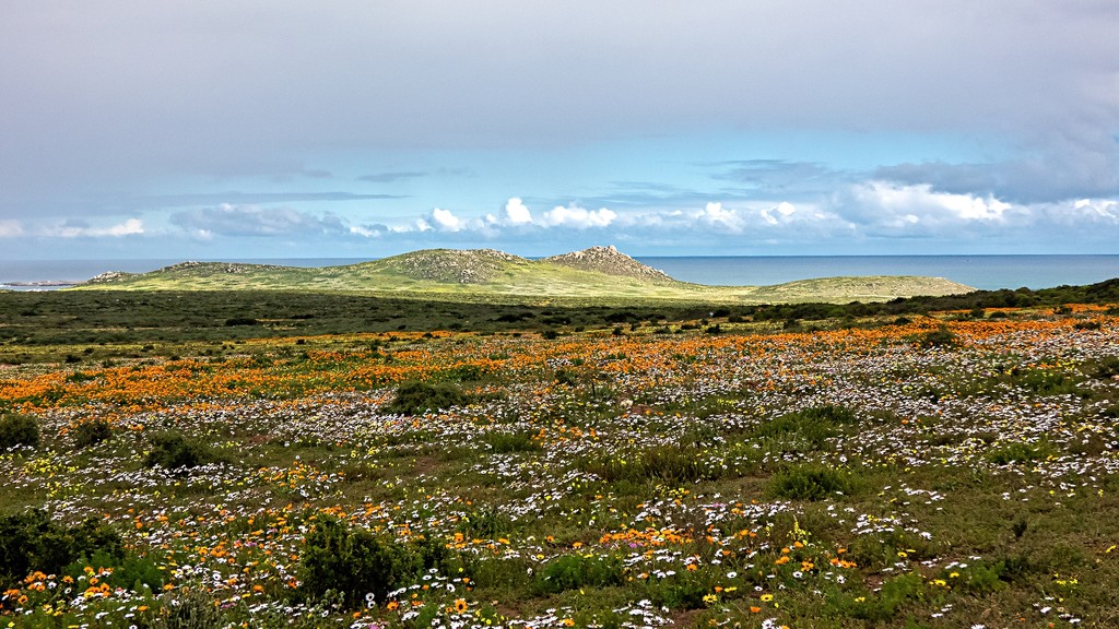 Postberg nature reserve by ludwigsdiana