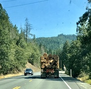 27th Aug 2020 - Another log truck