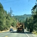 Another log truck by pandorasecho
