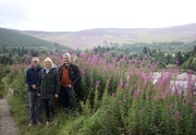 27th Aug 2020 - The Fireweed and the Heather
