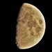 August Moon by lynnz