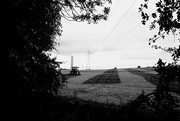 28th Aug 2020 - Ploughing Landscape