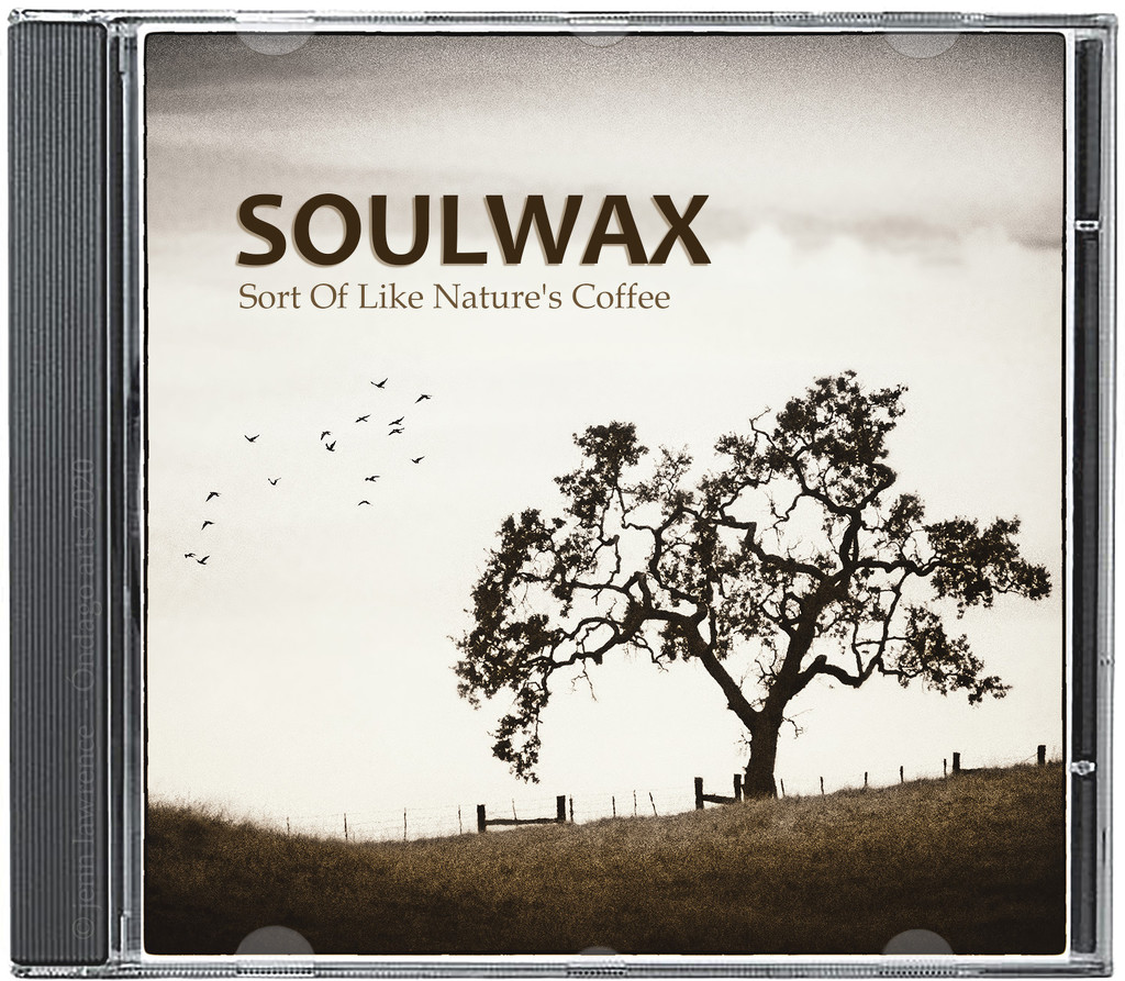 Soulwax by aikiuser