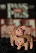 28th Aug 2020 - Two Piggies Makin' Bacon- Lose ALL Your Points!