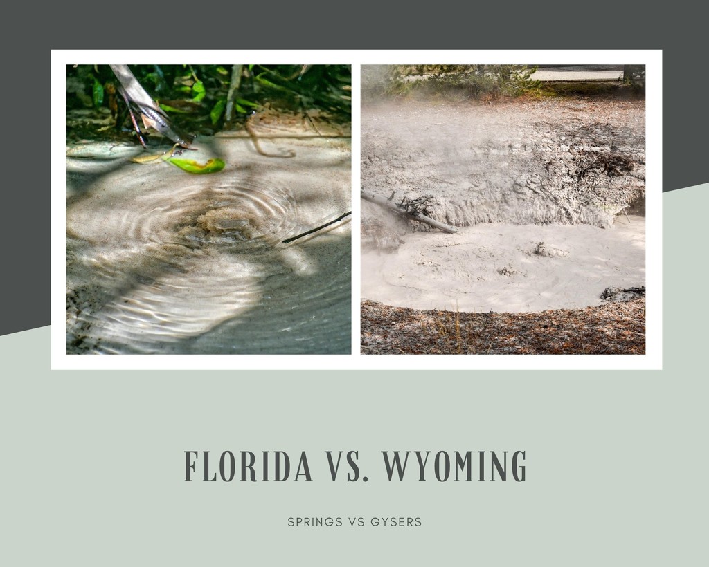 Florida vs. wyoming by danette