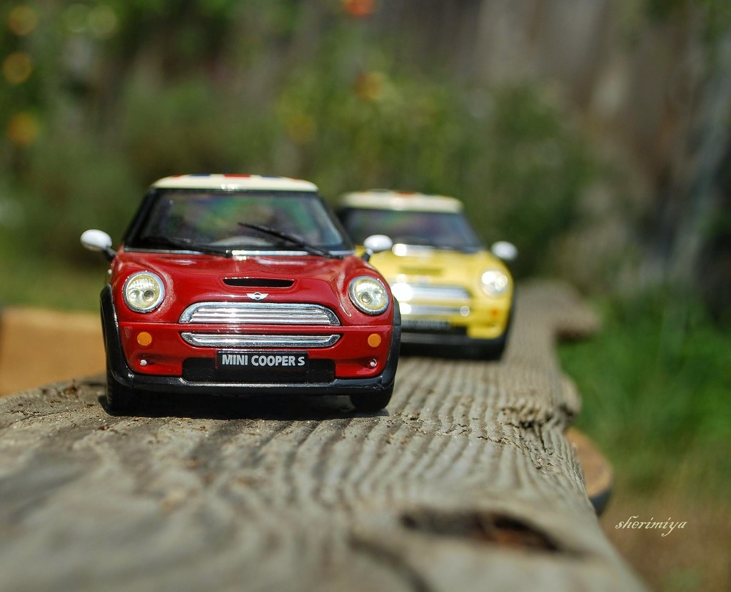 A pair of MINI Coopers by sherimiya