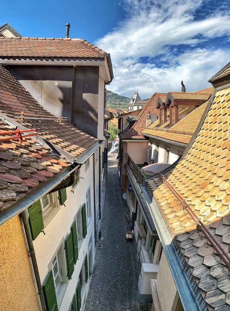 Roofs of Vevey.  by cocobella