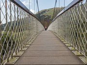 12th Apr 2020 - Suspension Bridge