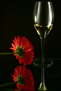 29th Aug 2020 - Red Flower - White wine