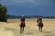 29th Aug 2020 - horse riders