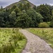 Skelgill Bank. by gamelee