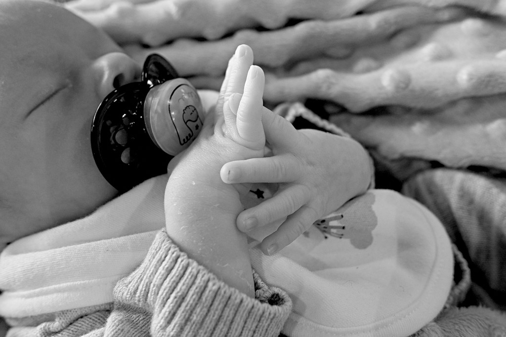 Baby Hands by allsop