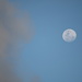 Early Evening Moon ~ 5.04 pm by kgolab