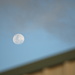 Early Evening Moon ~ 5.05 pm by kgolab