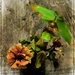 Flowers in a Vase by olivetreeann