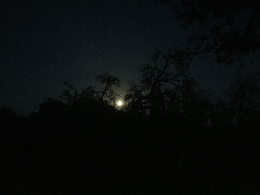 La La La Luna by moonshinegoober