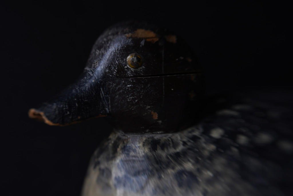 duck decoy by jernst1779