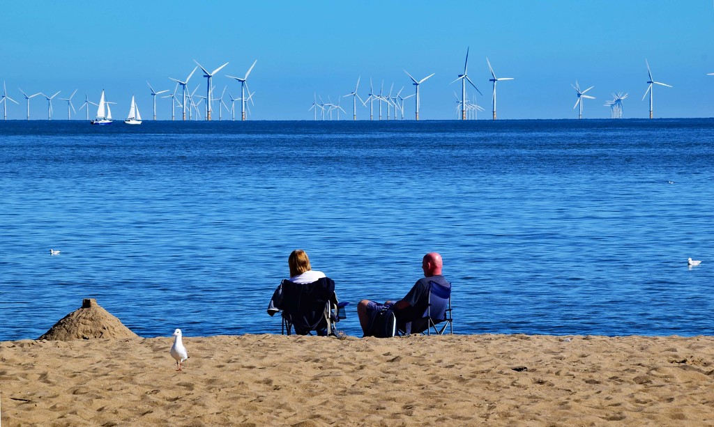 looking at wind farm by ianmetcalfe