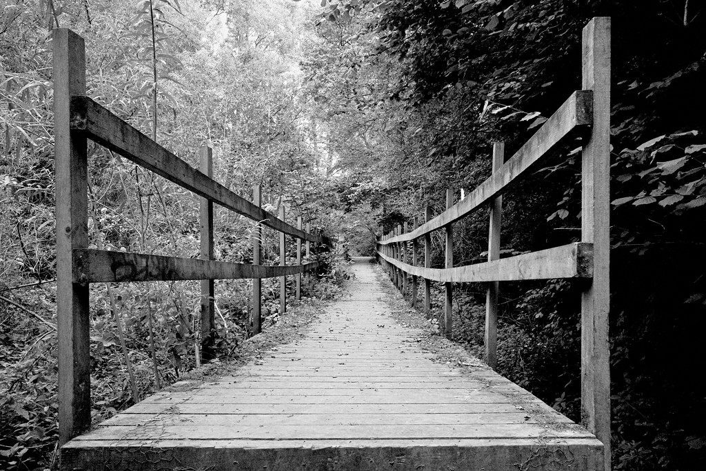 Wooden Bridge by allsop
