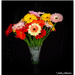 A  vase full of Beauties... by julzmaioro