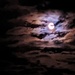 Sept Full Moon  by sandradavies