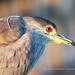 Bird's eye view by photographycrazy