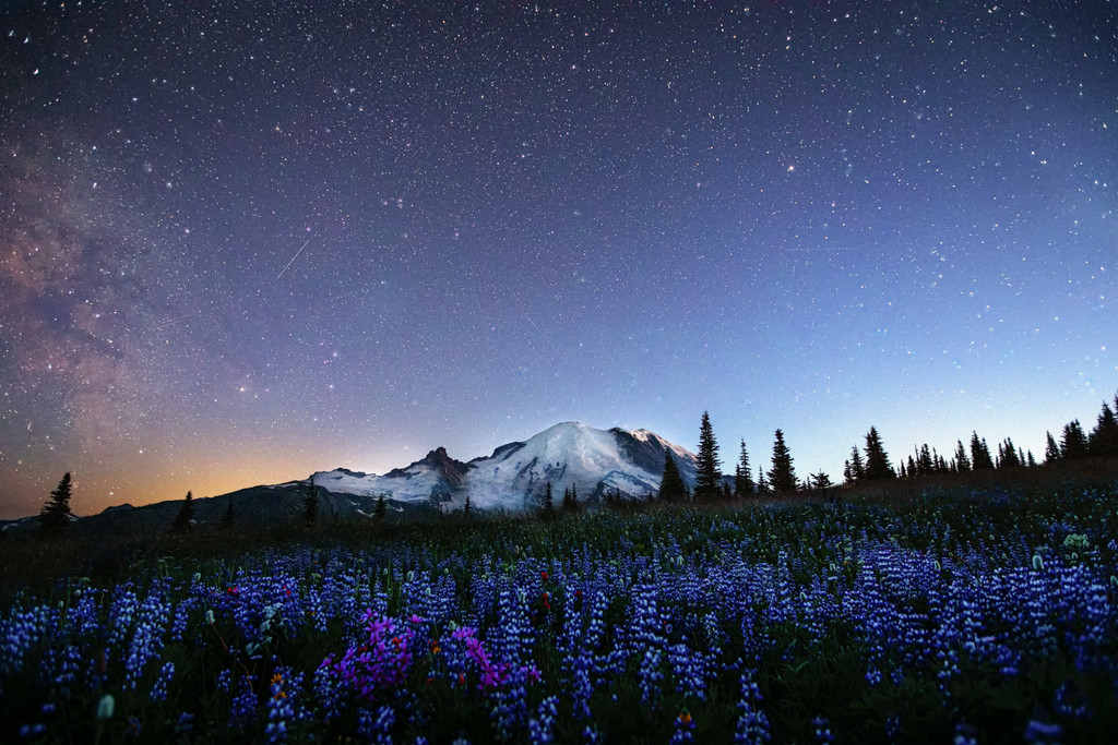 Starry Night by exposure4u