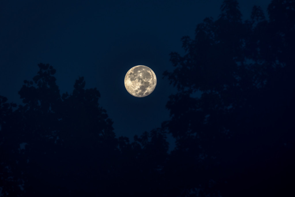Good Night Moon by kvphoto