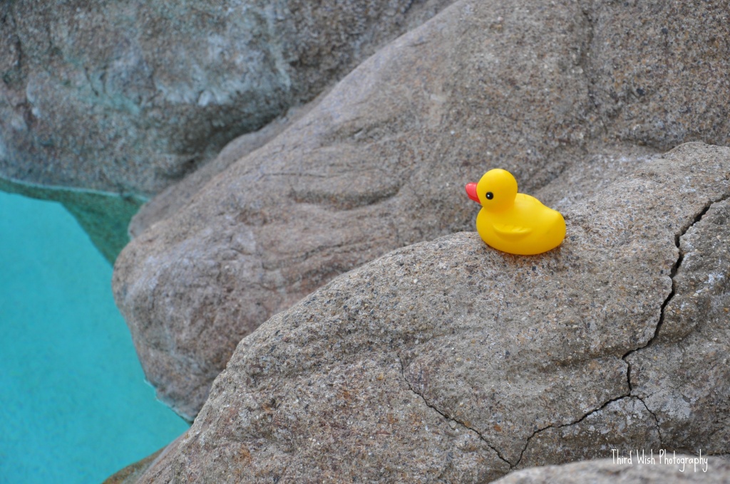 Quacked ... oh, and "I'll Have Mine On-The-Rocks, Please" by mamabec