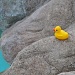 Quacked ... oh, and "I'll Have Mine On-The-Rocks, Please" by mamabec