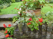 2nd Sep 2020 - up the garden steps