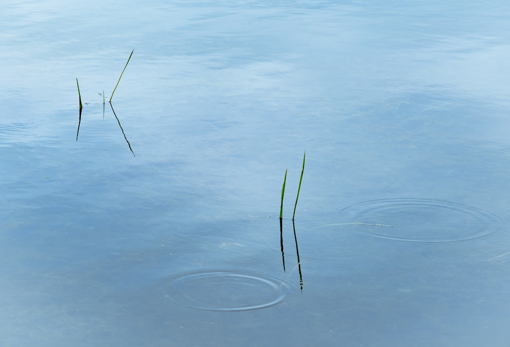 Minimalist Big Pond Landscape by sprphotos