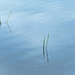 Minimalist Big Pond Landscape by sprphotos