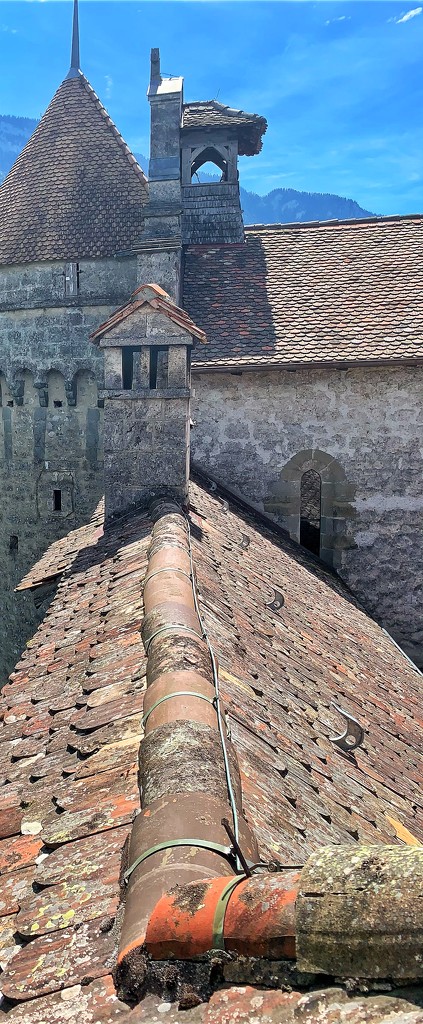Roofs on the top of the castle.  by cocobella