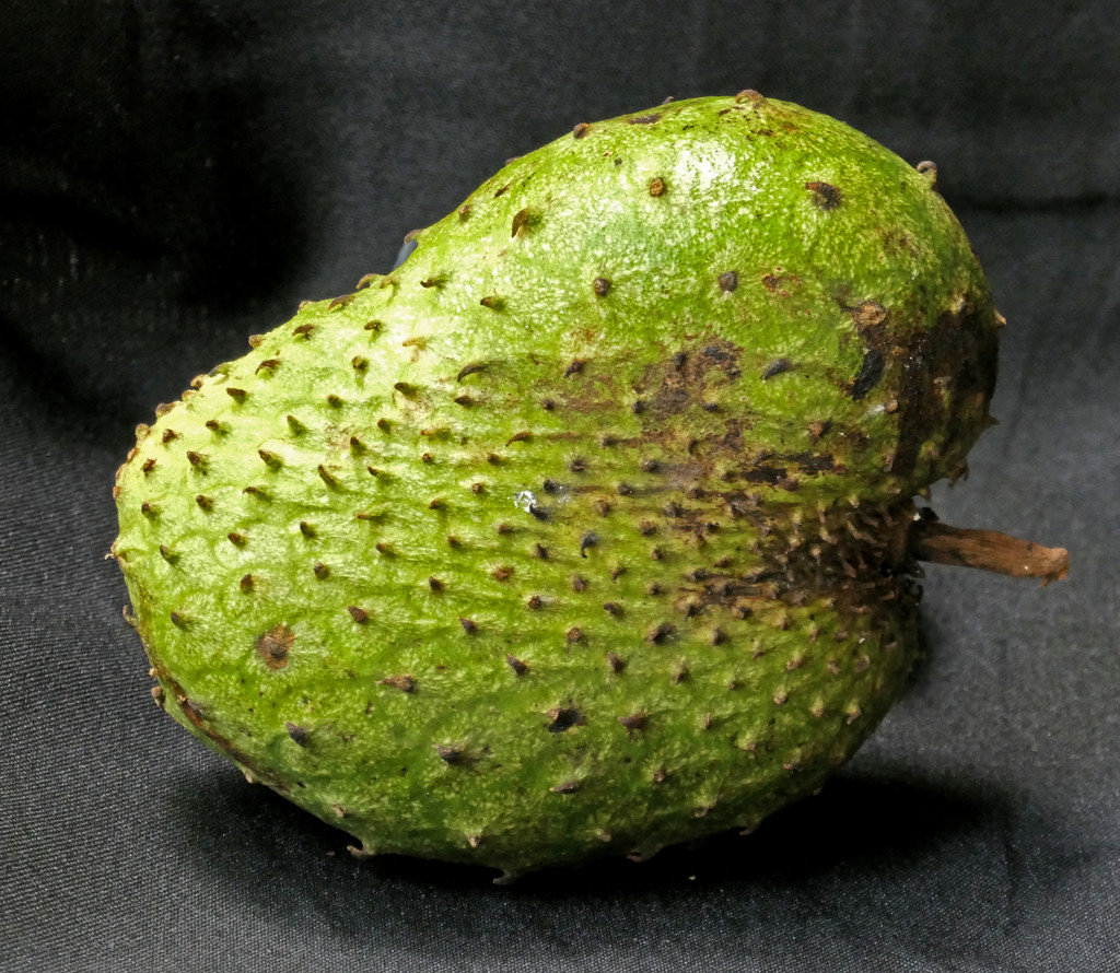 Soursop by lilh