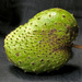 Soursop by lilh