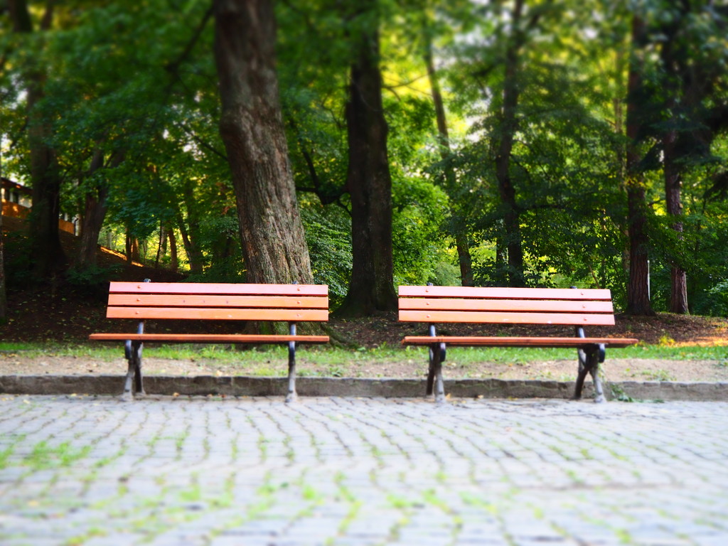 Two lonely park benches by monikozi