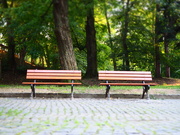 4th Sep 2020 - Two lonely park benches