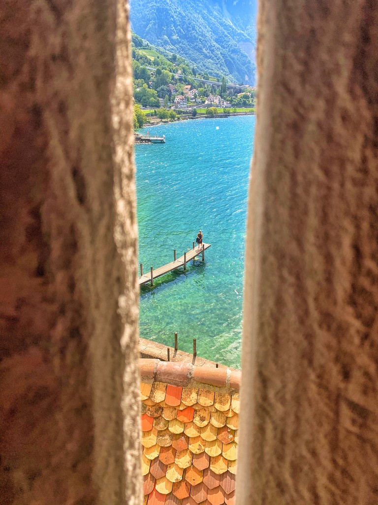 View on the lake.  by cocobella