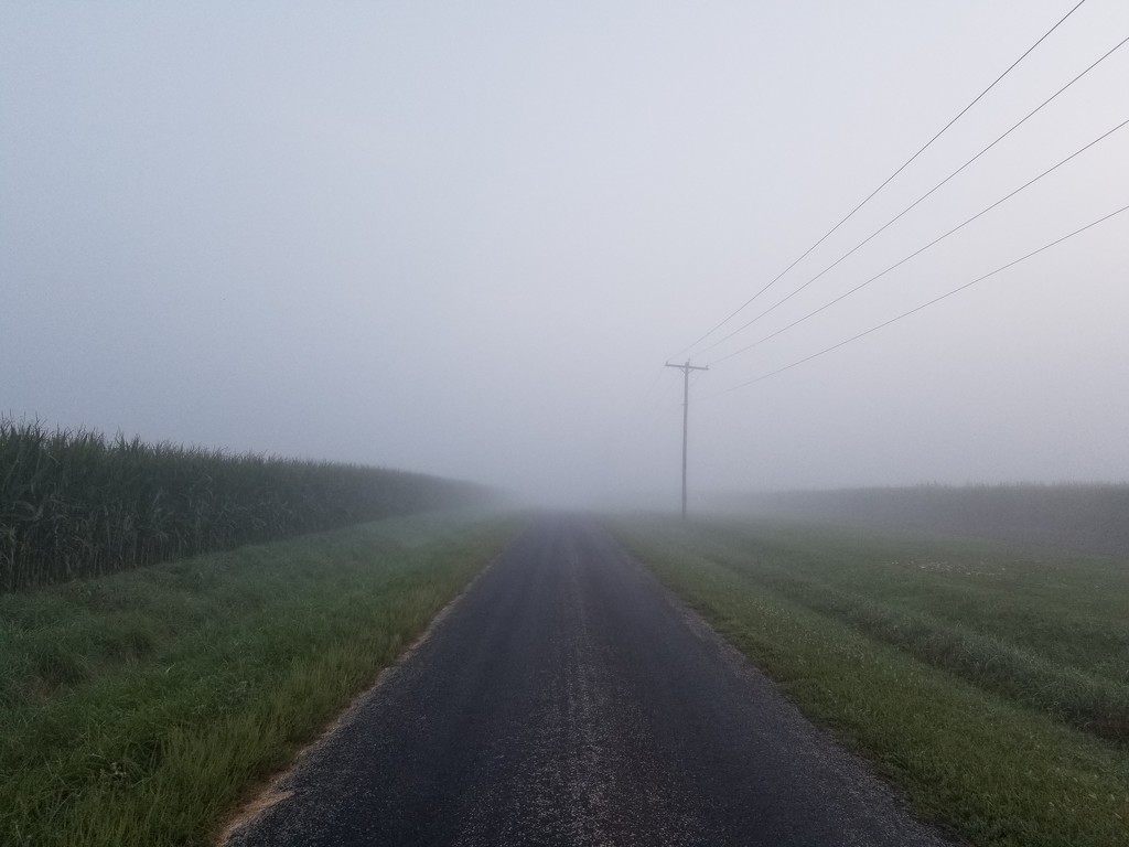 Foggy commute  by scoobylou