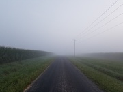 2nd Sep 2020 - Foggy commute 