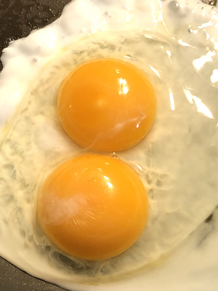 Twin yolks by homeschoolmom