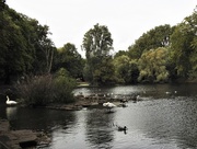 21st Aug 2020 - Vernon Park Pond