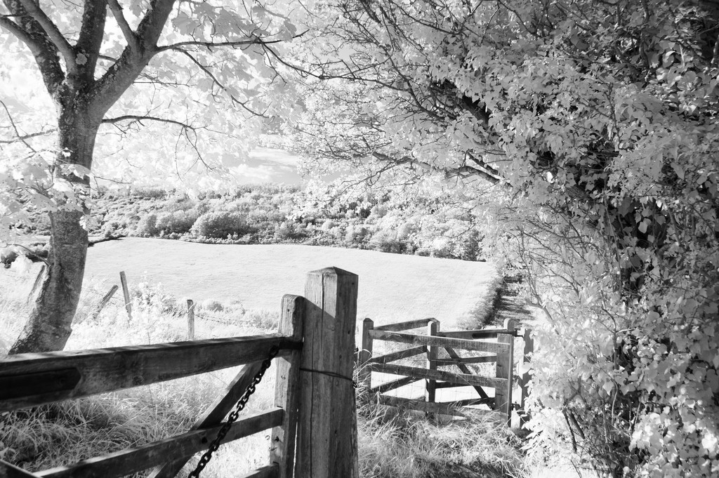 Kissing Gate by fbailey