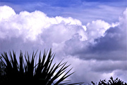 5th Sep 2020 - Clouds