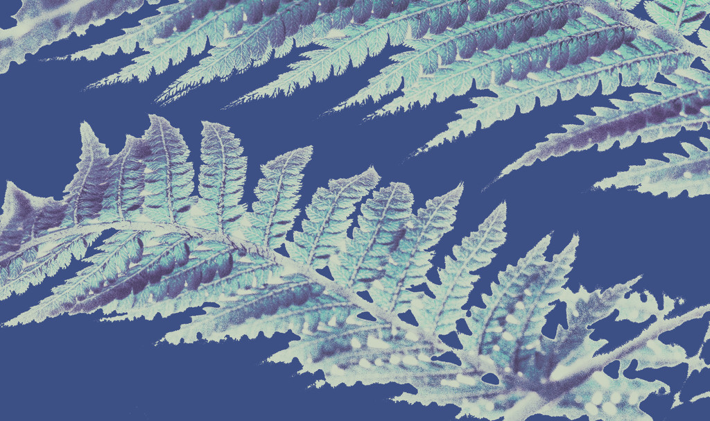 Get Pushed 423 - Anna Atkins's cyanotypes - Tree Fern by annied