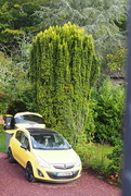 6th Sep 2020 - Yellow Car & Matching Dustbin!